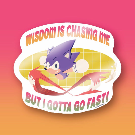 ✨ Wisdom Is Chasing You, Sonic Sticker ✨